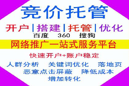 谷歌SEM与移动端优化：某APP的推广策略及效果